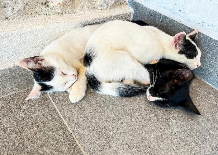 Kaleli Deluxe Homes Aparthotel